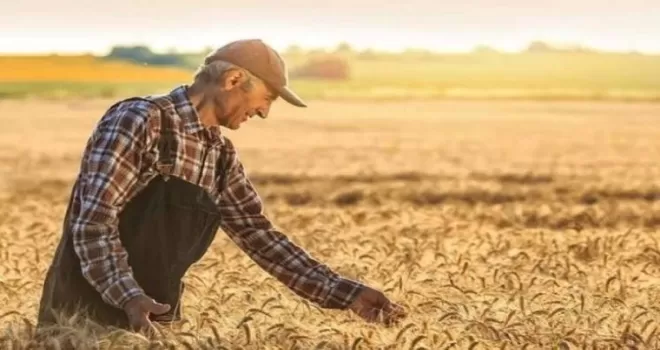 2025’te tarım işçilerinin günlük ücretleri arttı