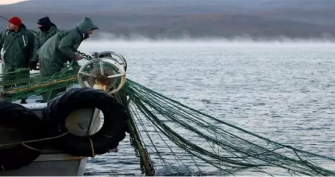 251 milyon liralık destek hesaplara yattı