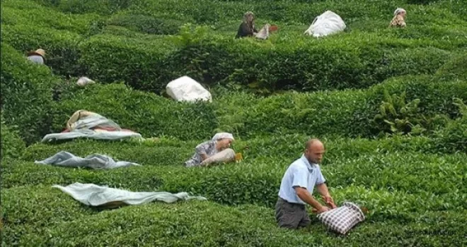 3 bin 500 işçi aranıyor