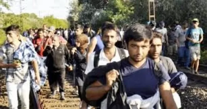 3 bin göçmen Viyana'ya geçti