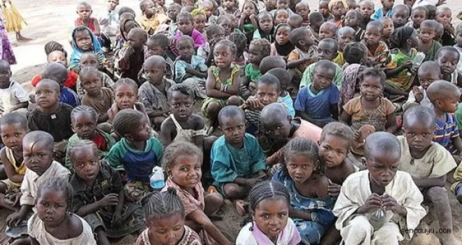 49 bin 800 Nijeryalı, Kamerun'a sığındı