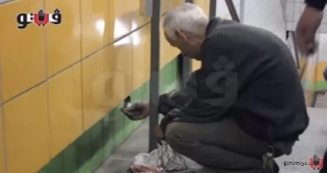 5 Yıl Boyunca Duvarda Sıkışan Kedi Kurtarıldı