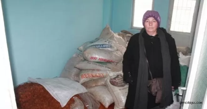500 bin TL değerinde kayısı çaldılar