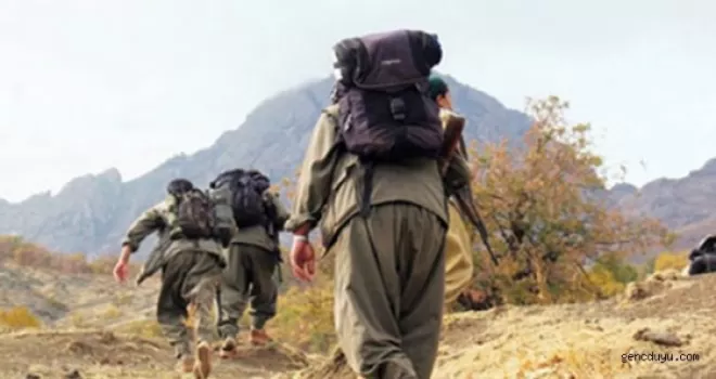 7 PKK'lı teslim oldu