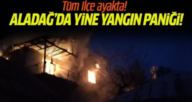 Adana Aladağ'da yine yangın paniği!