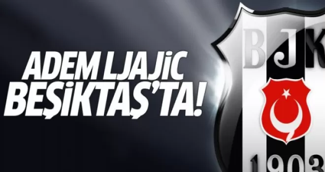 Adem Ljajic Beşiktaş'ta