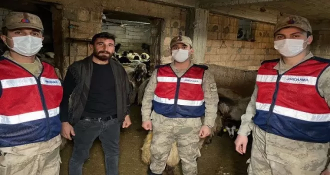 Adıyaman'da kaçırılan 160 koyun Gaziantep'te bulundu 