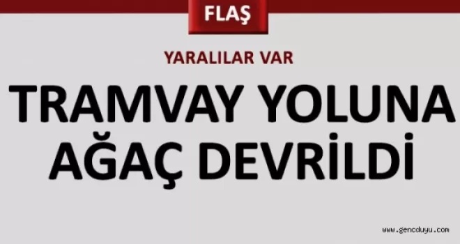 Ağaç devrildi, 3 kişi yaralı