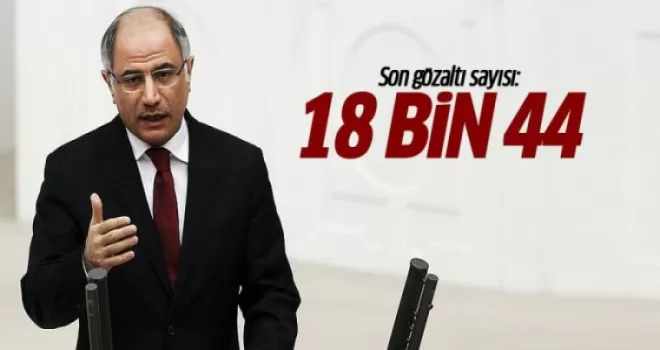 Ala: Gözaltına alınan kişi sayısı 18 bin 44