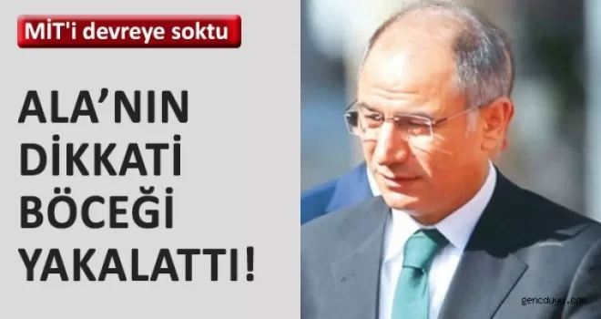 Ala’nın dikkati böceği yakalattı