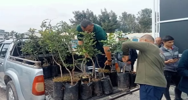 Alanya’nın coğrafi işaretli keçiboynuzuna destek