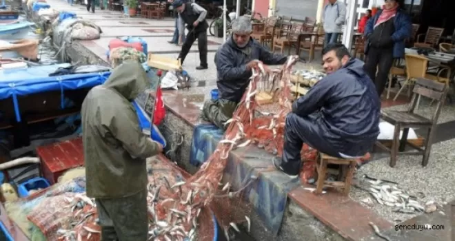 Aliağalı balıkçılar "Orman Kanunu" istiyor