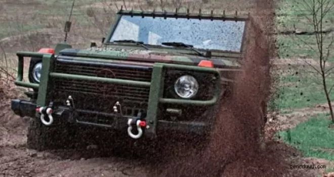 Almanya,200 Mercedes cipi imha etti  