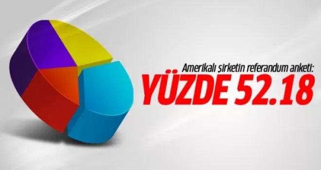 Amerikalı şirketten referandum anketi!