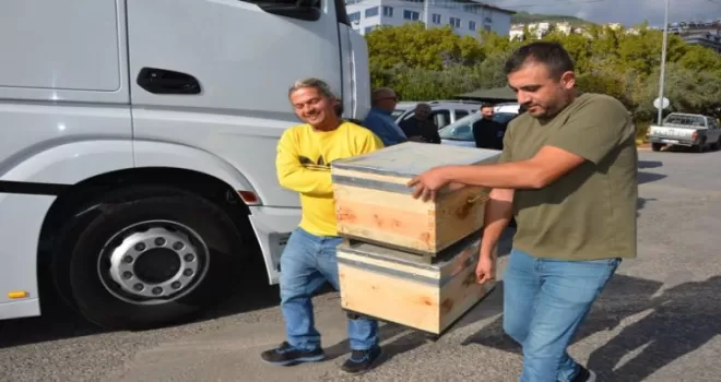Antalya Büyükşehir’den bal üreticilerine arı kovanı