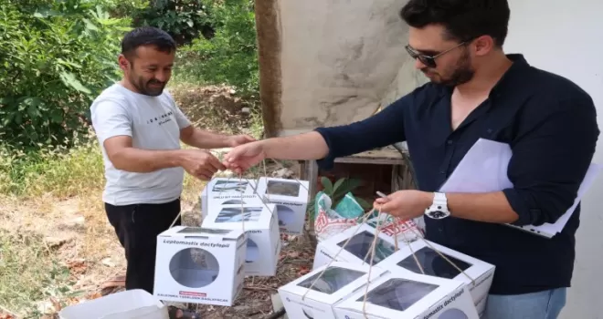 Antalya’da 800 dekar araziye faydalı böcek desteği