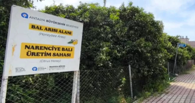 Antalya’da ’Narenciye Balı’ koruma altında