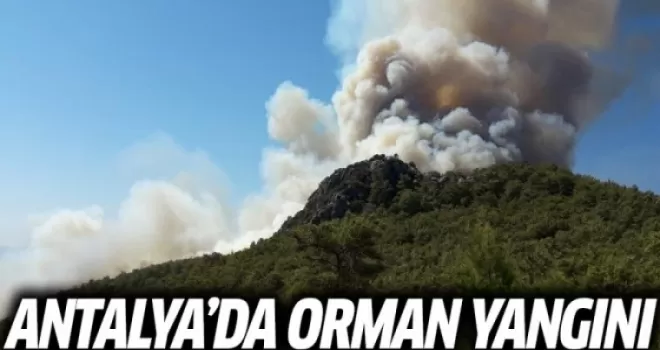 Antalya'da Orman Yangını