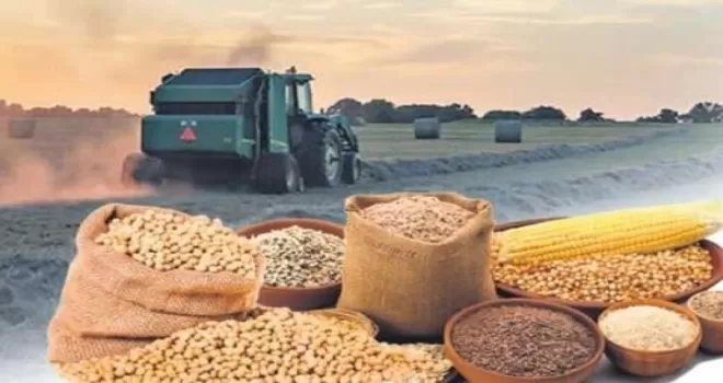 Arpa ve mısır ithalatında tarife kontenjanı güncellendi