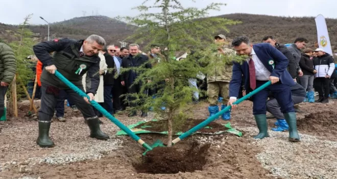 Artvin’de 21 Mart’a özel fidan dikimi