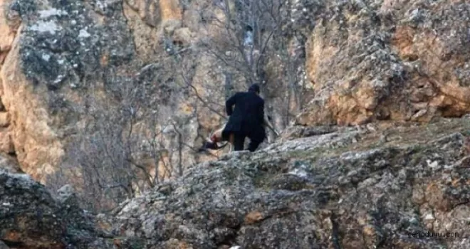 Avlanması yasak dağ keçisinin derisini yüzerken yakalandılar