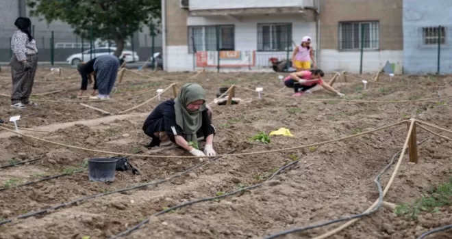 Avrupa’dan Bornova’ya kent bostanı incelemesi