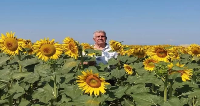Ayçiçeği ve pirinç ithalatına Edirne’den tepki