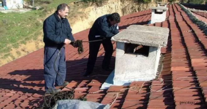 Bacada feci ölüm!