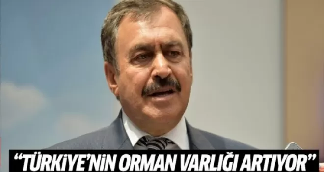 Bakan Eroğlu: 'Türkiye'de orman varlığı artıyor'