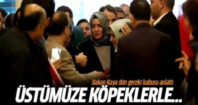 Bakan Kaya: Kaba ve sert muameleye maruz kaldık!