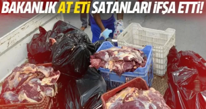 Bakanlık at eti satanları açıkladı