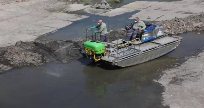 Bakırköy’de yazla birlikte vektörle mücadele hızlandı