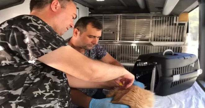 Balıkesir’de can dost aracı Savaştepe’den yola çıkıyor