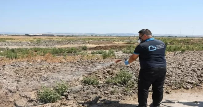 Balıkesir’de ilaçlama ekipleri sahada