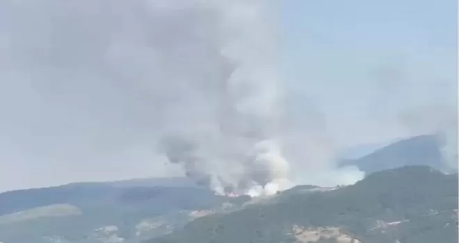 Balıkesir Sındırgı’da orman dışı alanda yangın!