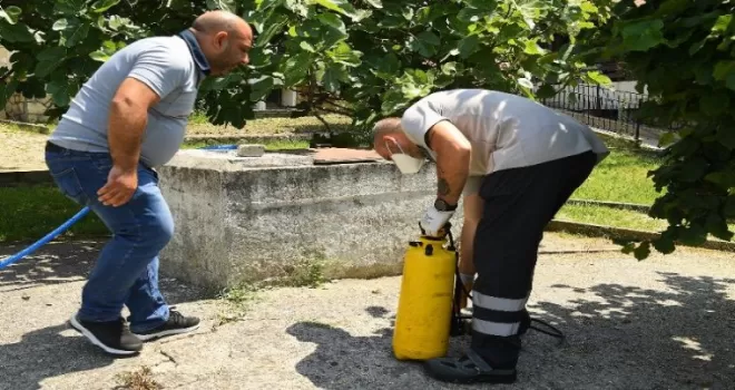 Beylikdüzü’nde ilaçlamalar sürüyor