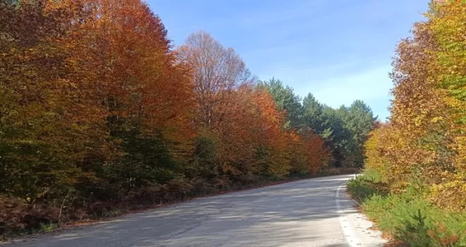 Bilecik Bozcaarmut’ta sonbahar büyüsü