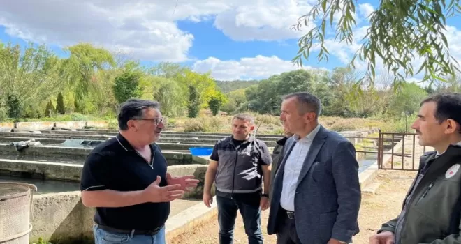 Bilecik Bozüyük’te alabalık tesislerine ziyaret