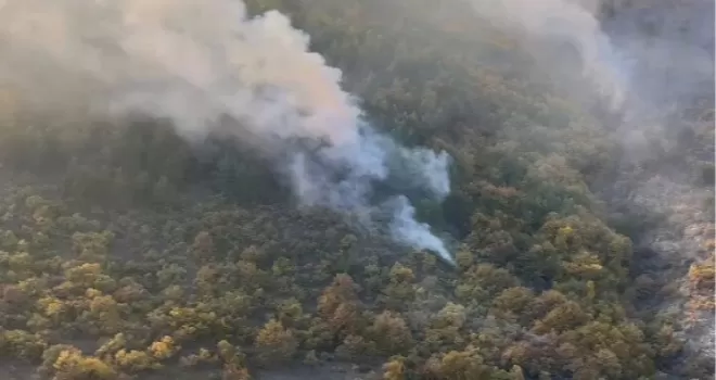 Bilecik Kurtköy’deki orman yangını söndürüldü