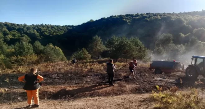 Bilecik Pazaryeri’nde alevler ormana ulaşmadan söndürüldü