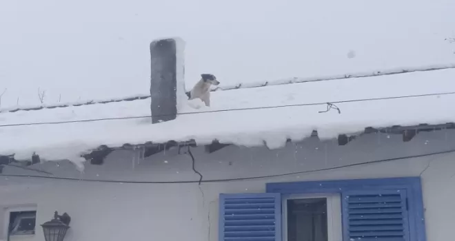 Bilecik Pazaryeri’nde kar altında kurtarma operasyonu