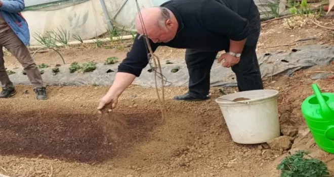 Bilecik Pazaryeri’nde tütün geçim kapısı oluyor