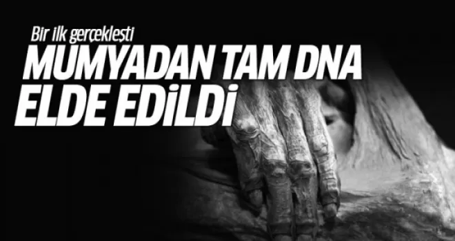 Bir ilk gerçekleşti! Mumyadan tam DNA elde edildi