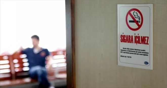 Tiftik keçisi sayısı desteklerle arttı