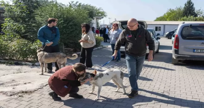 Bornova’da can dostları yeni sahipleriyle buluştu