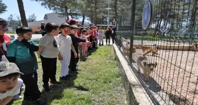 Bursa’da çocuklar patili dostlarla buluştu