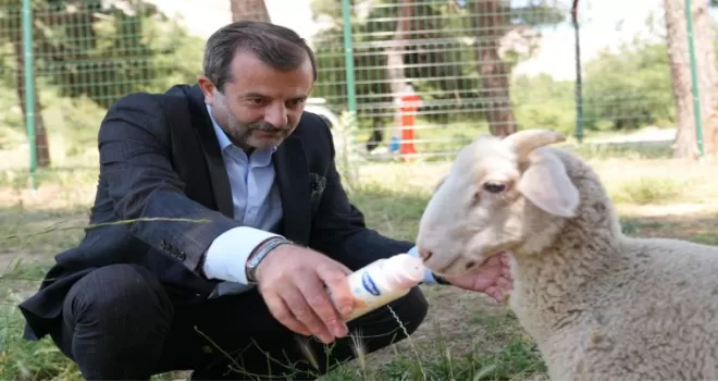 Bursa Gürsu’ya butik hayvanat bahçesi