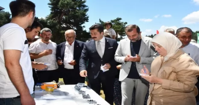 Bursa İznik’te ’maviyemiş’ ilgisi