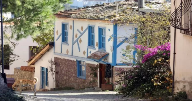 Bursa Mudanya’da ’Tirilye Zeytin Çiçeği Festivali’ne hazırlığı