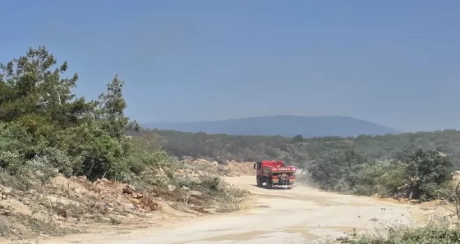 Bursa Nilüfer’de yangın! Söndürüldü